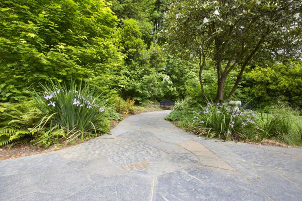 Stone Hardscape Service in Renton